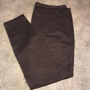 Chocolate Brown Intro Jeggings